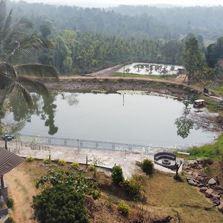 Willostays Villa Tranquil De Susanj 瑟格莱什布尔 外观 照片